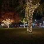 Christmas Light installation