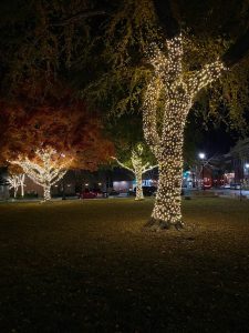Christmas Light installation