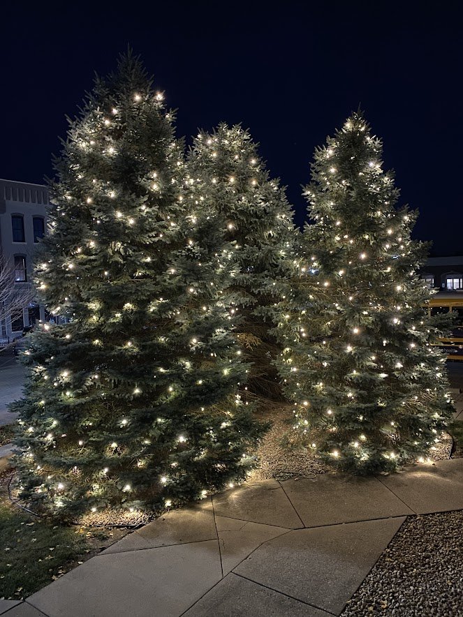 Christmas Light Installation Virginia