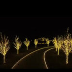 ground20lights20and20tree20wraps_1694988541