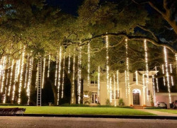 Tree Light Dangles