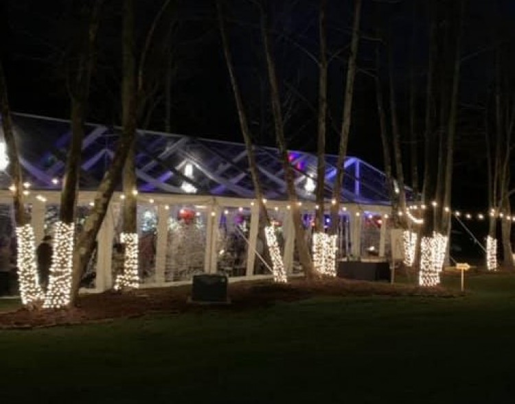 tree20wrap20trunks_1694999238_big