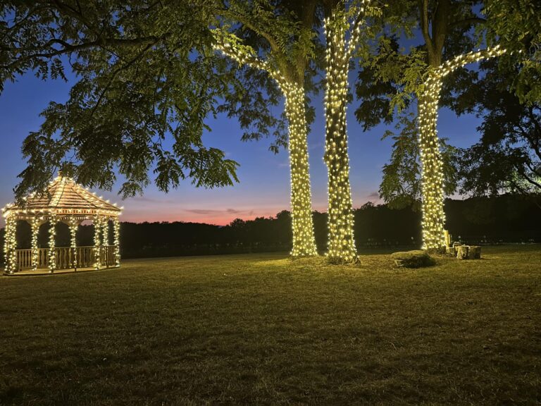 Lights Around outdoor wedding lights
