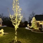 Small tree up to 6 feet wrapped in warm white lights