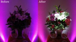 before20after20pin20lighting 1696595384 Pin Spot Lighting Package