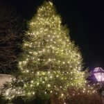 Tall evergreen wrapped in warm white Christmas lights