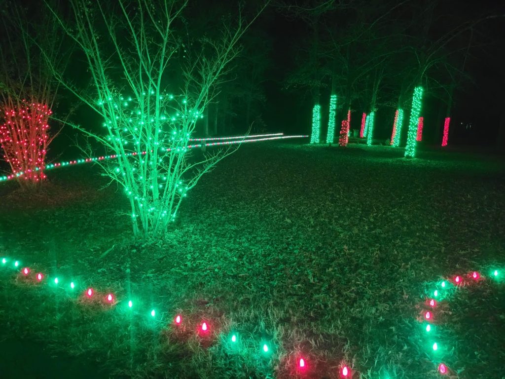 Ground lights and tree lights for Christmas professionally installed in Northern Virginia Photo Gallery