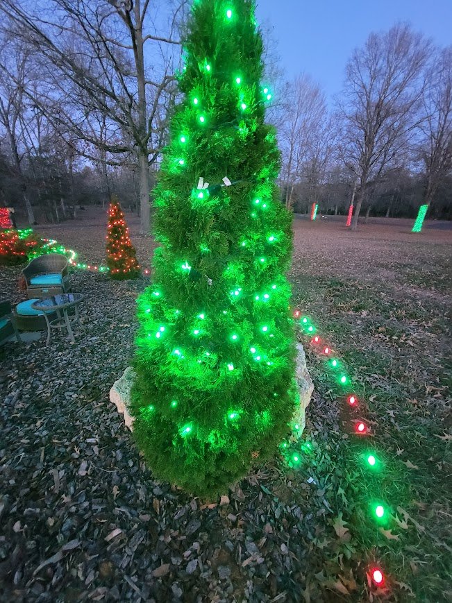 evergreen shrubs and ground lights installed professionally in Virginia for Christmas Photo Gallery