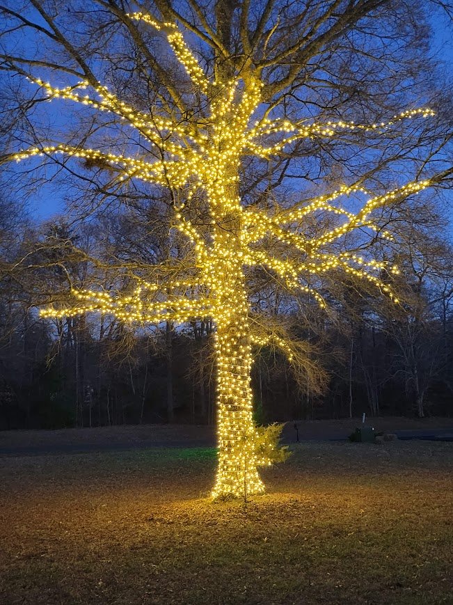 tree wrap christmas tree lights by Lights Around Photo Gallery