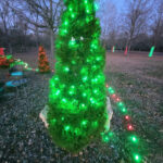Garden & tree lighting: