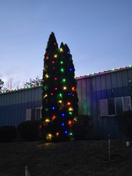 Tree Light Wraps Evegreens- Up to 18 foot