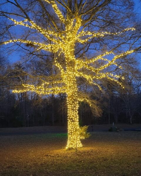tree wrap christmas tree lights by Lights Around